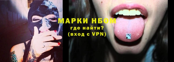 хмурый Пестово