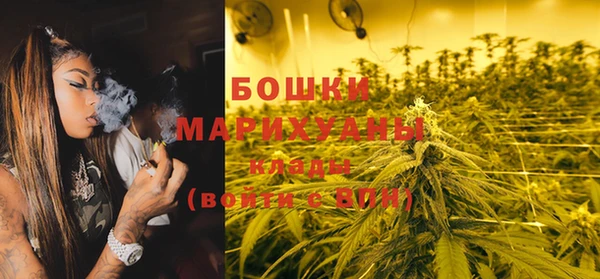 Альфа ПВП Пересвет