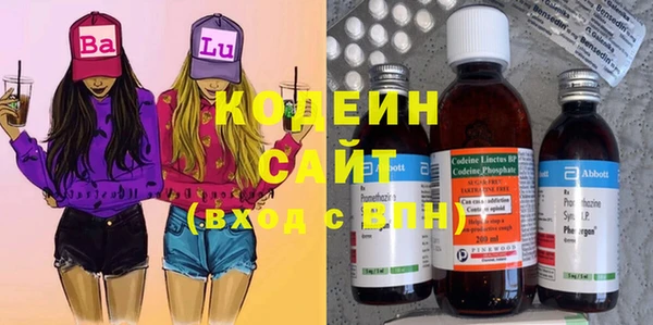 Альфа ПВП Пересвет
