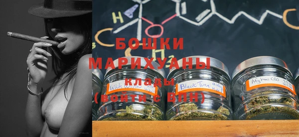 прущие грибы Покров