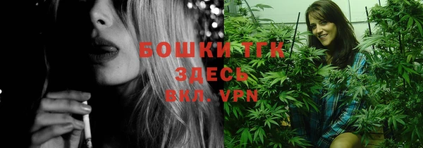 прущие грибы Покров