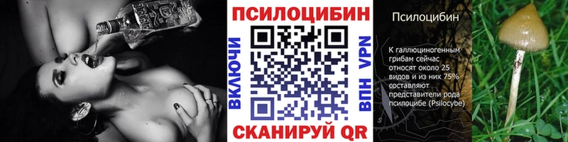 блэк спрут ССЫЛКА  Юхнов  Галлюциногенные грибы Psilocybe  купить закладку 
