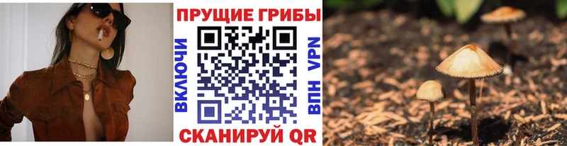 Псилоцибиновые грибы Cubensis Юхнов
